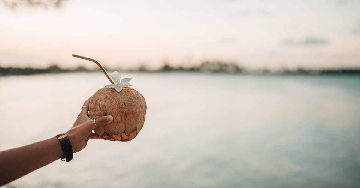 découvrez les plages paradisiaques de zanzibar, aux eaux turquoise et au sable blanc immaculé. profitez d'un cadre idyllique pour des vacances inoubliables, entre détente, activités nautiques et paysages à couper le souffle.