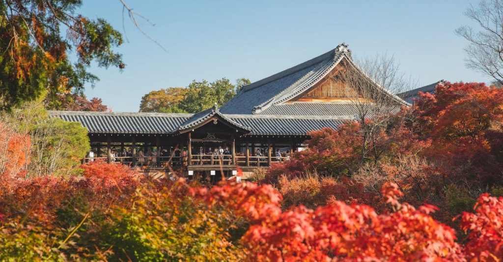 découvrez les anciens temples, trésors de l'architecture et de l'histoire, qui témoignent des civilisations passées. plongez au cœur de mystères archéologiques et laissez-vous émerveiller par la beauté et la grandeur de ces monuments emblématiques.