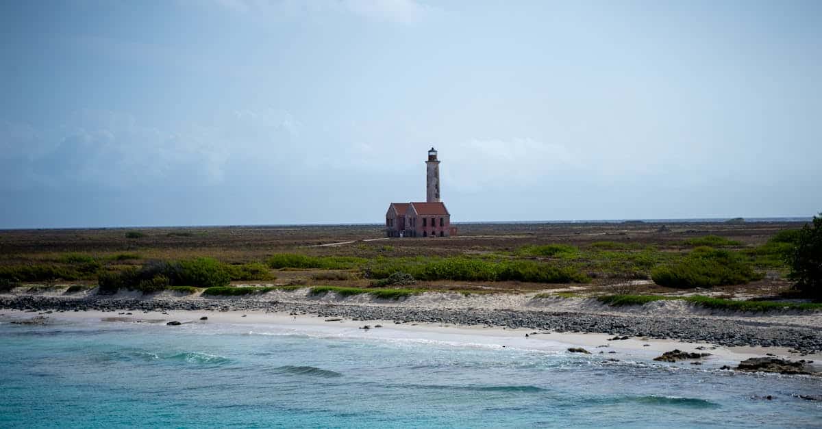 découvrez les plages des caraïbes, un véritable paradis terrestre où le sable fin rencontre des eaux turquoise cristallines. profitez d'un cadre idyllique pour des vacances inoubliables, entre détente, activités nautiques et paysages à couper le souffle.