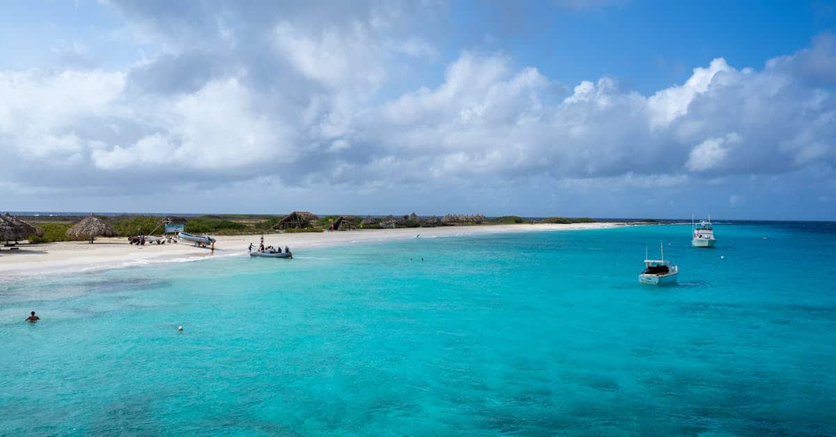 découvrez les plages enchanteresses des caraïbes, où le sable doré et les eaux turquoise se rencontrent. évadez-vous vers unparadis tropical, idéal pour des vacances de rêve, des activités nautiques et des moments de détente inoubliables.