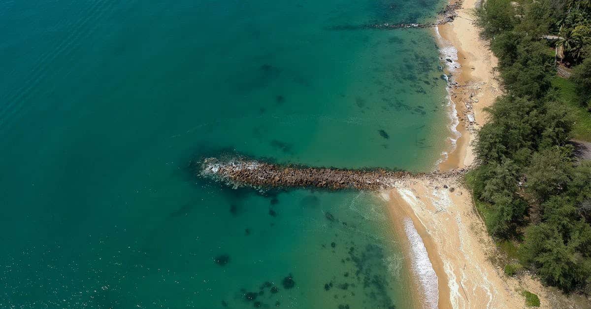 découvrez l'univers fascinant des récifs coralliens, ces écosystèmes marins d'une beauté exceptionnelle, essentiels à la biodiversité océanique. plongez dans leur protection, leur importance écologique et les menaces qui pèsent sur ces merveilles naturelles.
