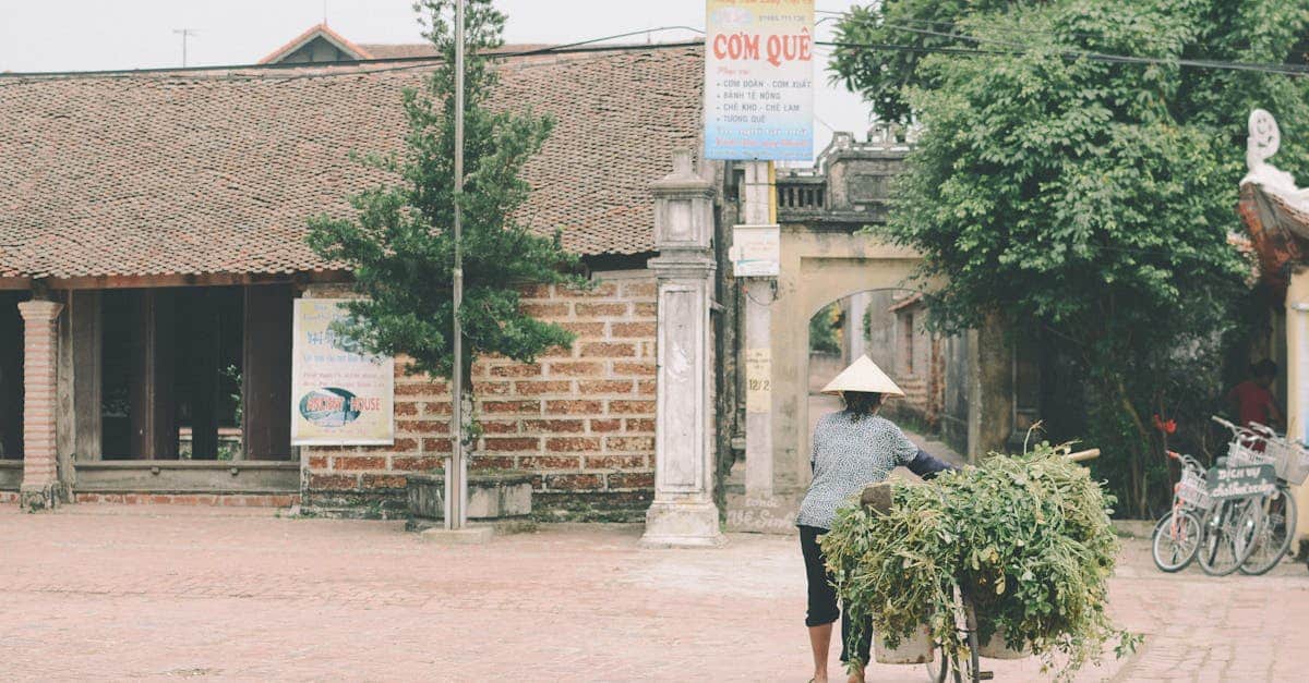 découvrez hanoi, la capitale vibrante du vietnam, où l'histoire millénaire rencontre la modernité. explorez ses rues animées, ses marchés colorés et ses somptueux temples tout en savourant une cuisine locale délicieuse.