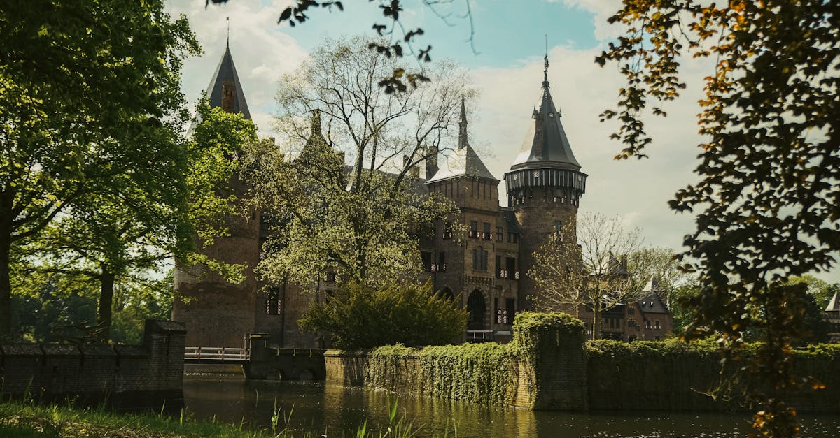 découvrez l'histoire fascinante des châteaux historiques, témoins d'époques révolues, où architecture majestueuse et récits royaux se mêlent. plongez dans le patrimoine culturel et explorez ces monuments emblématiques qui ont façonné notre passé.