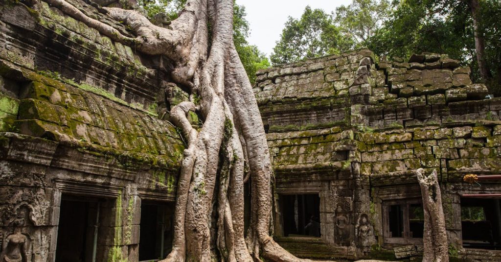 découvrez l'histoire fascinante du cambodge à travers les âges, des royaumes anciens aux évolutions contemporaines. plongez dans la richesse culturelle et les événements marquants qui ont façonné l'identité khmère.