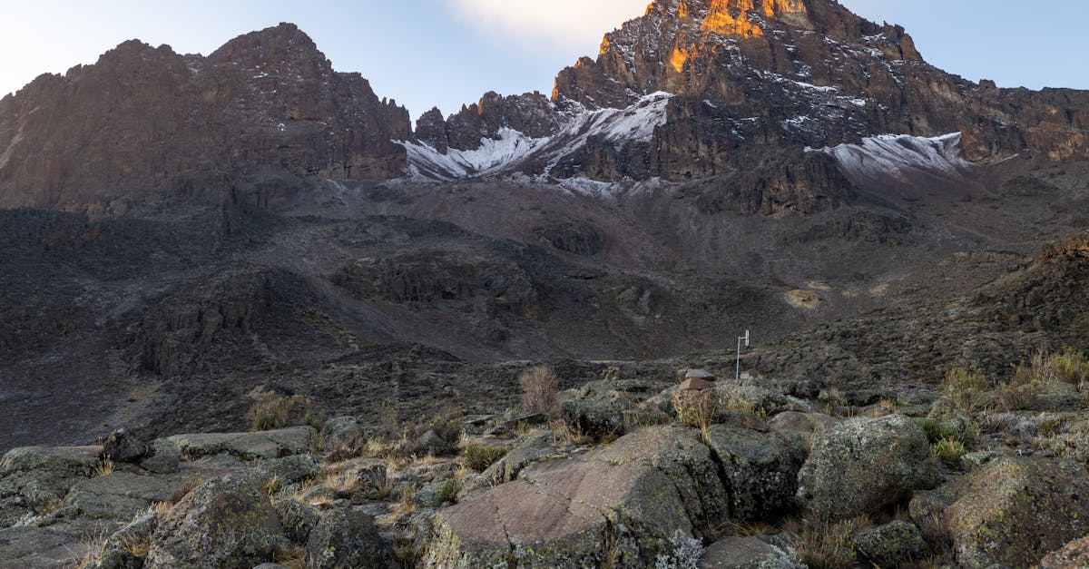 découvrez l'ascension du kilimandjaro, le sommet emblématique de l'afrique. préparez-vous à vivre une aventure inoubliable à travers des paysages variés, une biodiversité incroyable et une culture fascinante. explorez nos conseils, itinéraires et astuces pour gravir cette majestueuse montagne.