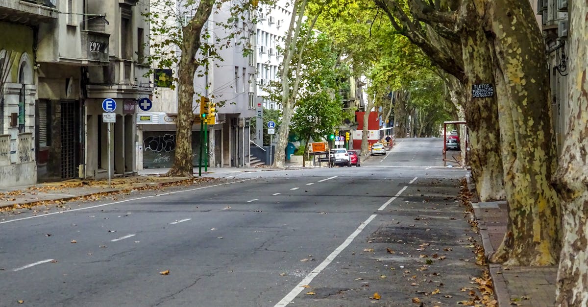 découvrez montevideo, la magnifique capitale de l'uruguay, où la culture, l'histoire et les paysages côtiers se rencontrent. profitez de ses plages, de sa délicieuse gastronomie et de ses charmantes places. explorez cette ville vibrante et vivez une expérience inoubliable en amérique du sud.