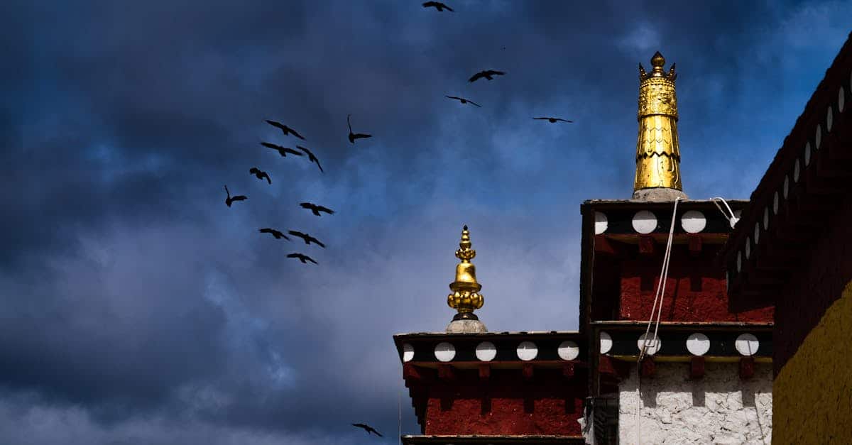 découvrez les temples mystiques, des lieux empreints de spiritualité et de beauté, où magie et histoire s’entremêlent. plongez dans un voyage fascinant à travers des sites sacrés, symboles de traditions anciennes et de cultures énigmatiques.