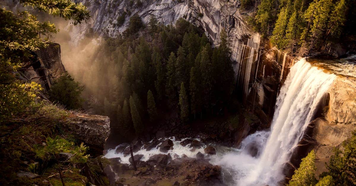 découvrez la beauté des parcs nationaux, où la nature sauvage se mêle à des paysages à couper le souffle. explorez des sentiers pittoresques, observez la faune en toute liberté et vivez une expérience unique au cœur de la biodiversité. parfaits pour les amoureux de la nature, les parcs nationaux offrent une échappatoire paisible loin de l'agitation urbaine.