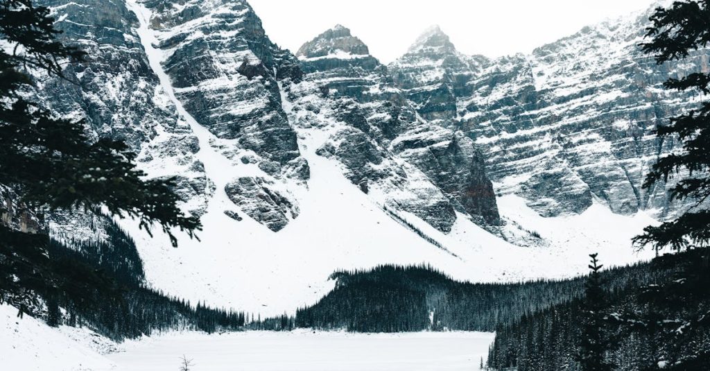 découvrez la beauté naturelle et la biodiversité des parcs nationaux, des destinations idéales pour les amoureux de la nature, les aventuriers et ceux en quête de tranquillité. explorez des sentiers de randonnée, admirez des paysages à couper le souffle et observez la faune dans leur habitat naturel.