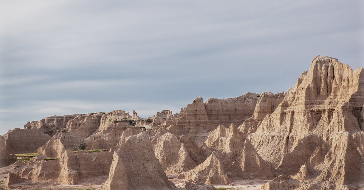 découvrez la beauté des parcs nationaux, des sanctuaires naturels qui préservent la biodiversité et offrent des paysages à couper le souffle. explorez des activités en plein air, apprenez sur la faune et la flore, et laissez-vous inspirer par la majesté de la nature.