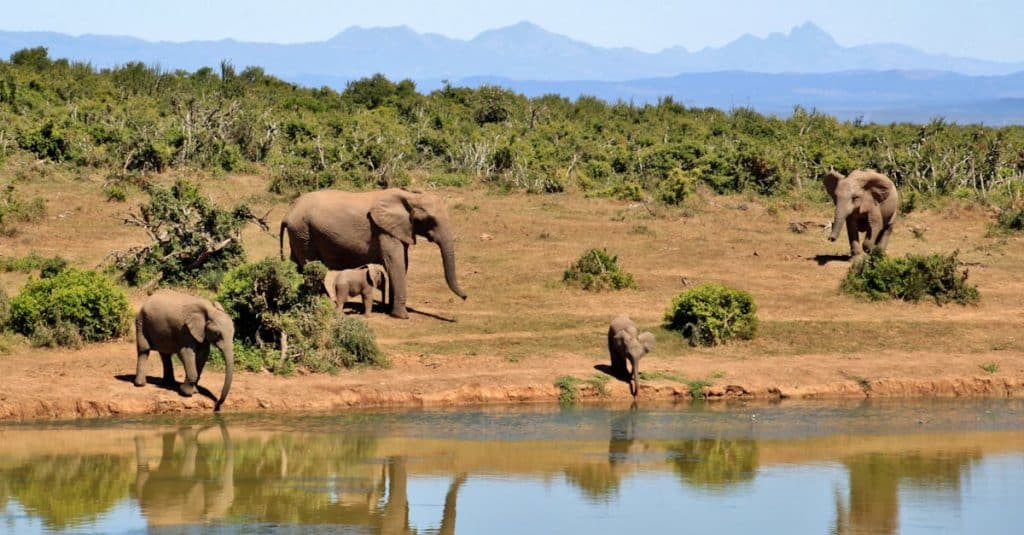découvrez les réserves naturelles, des joyaux de la biodiversité où flore et faune coexistent en harmonie. explorez des paysages préservés, engagez-vous dans des activités écologiques et apprenez l'importance de la conservation de notre planète.
