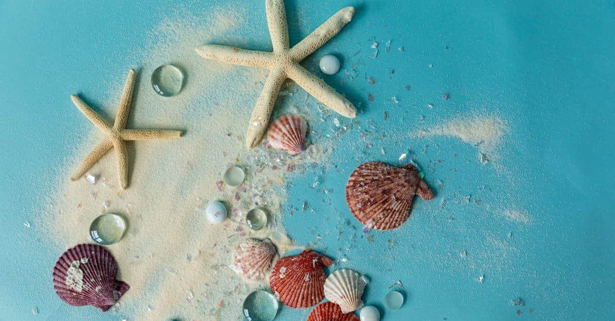 découvrez les joyaux côtiers du portugal, une destination captivante où se mêlent plages dorées, villages pittoresques et paysages à couper le souffle. plongez dans la culture locale et explorez des trésors cachés le long de la côte atlantique.