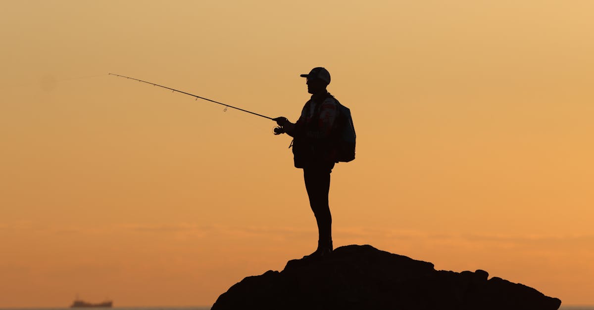 découvrez les joyaux côtiers du portugal, de ses plages cachées à ses villages pittoresques, parfaits pour une escapade inoubliable au bord de l'océan.