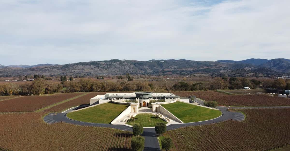 découvrez les vignobles prestigieux qui élèvent l'art de la viniculture à des sommets inégalés. plongez dans un monde de terroirs d'exception, de cépages raffinés et de traditions séculaires, où chaque bouteille raconte une histoire unique. un voyage sensoriel au cœur des plus grands crus.