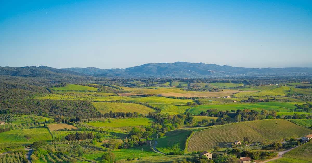 découvrez les vignobles prestigieux, où l'excellence viticole rencontre l'artisanat traditionnel. explorez des terroirs renommés, dégustez des cuvées uniques et plongez dans l'univers fascinant des grands crus.
