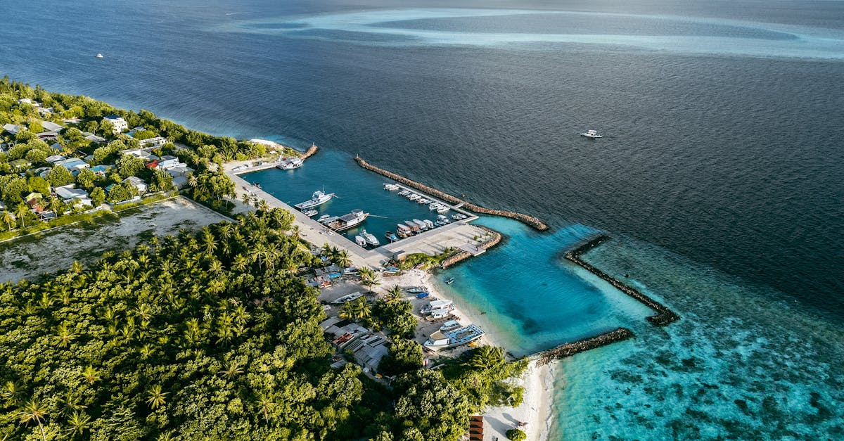découvrez robben island, symbole de la lutte contre l'apartheid en afrique du sud. plongez dans l'histoire fascinante de cette île, ancien lieu d'emprisonnement de nelson mandela, et explorez son patrimoine culturel unique à travers des visites guidées inoubliables.