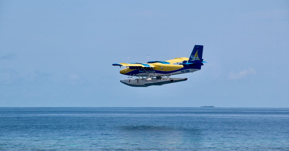 découvrez robben island, célèbre pour son histoire poignante en tant qu'ancienne prison de nelson mandela, aujourd'hui site du patrimoine mondial de l'unesco. explorez ses paysages uniques et plongez dans l'histoire enrichissante de la lutte contre l'apartheid en afrique du sud.