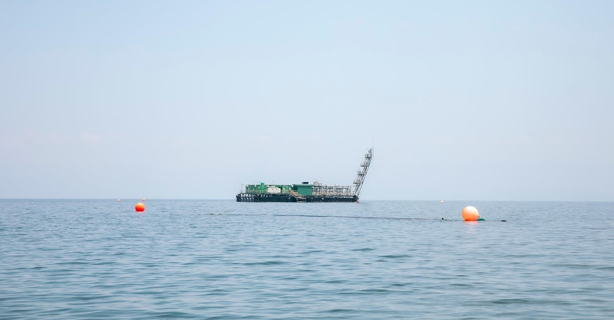 découvrez le rwanda, le pays des mille collines, riche en biodiversité et en culture. explorez ses parcs nationaux, admirez les gorilles des montagnes et plongez dans l'héritage historique de cette nation accueillante.