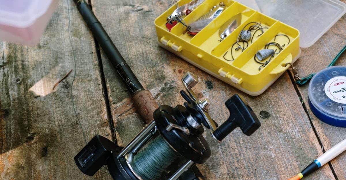 découvrez le monde passionnant de la pêche sportive ! apprenez les techniques, les meilleurs spots et les équipements indispensables pour profiter pleinement de vos sorties en mer ou en eau douce. que vous soyez débutant ou expert, cet univers vous promet des moments inoubliables au contact de la nature.