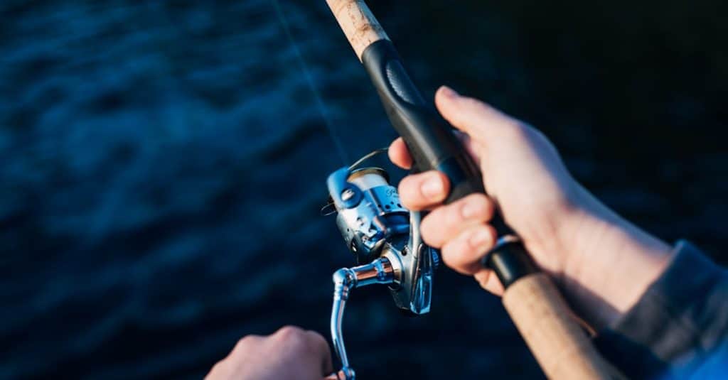 découvrez l'univers passionnant de la pêche sportive, un loisir qui allie aventure, technique et respect de la nature. qu'il s'agisse de pêche en eau douce ou en mer, explorez des techniques variées et les meilleurs spots pour vivre des moments inoubliables au bord de l'eau.