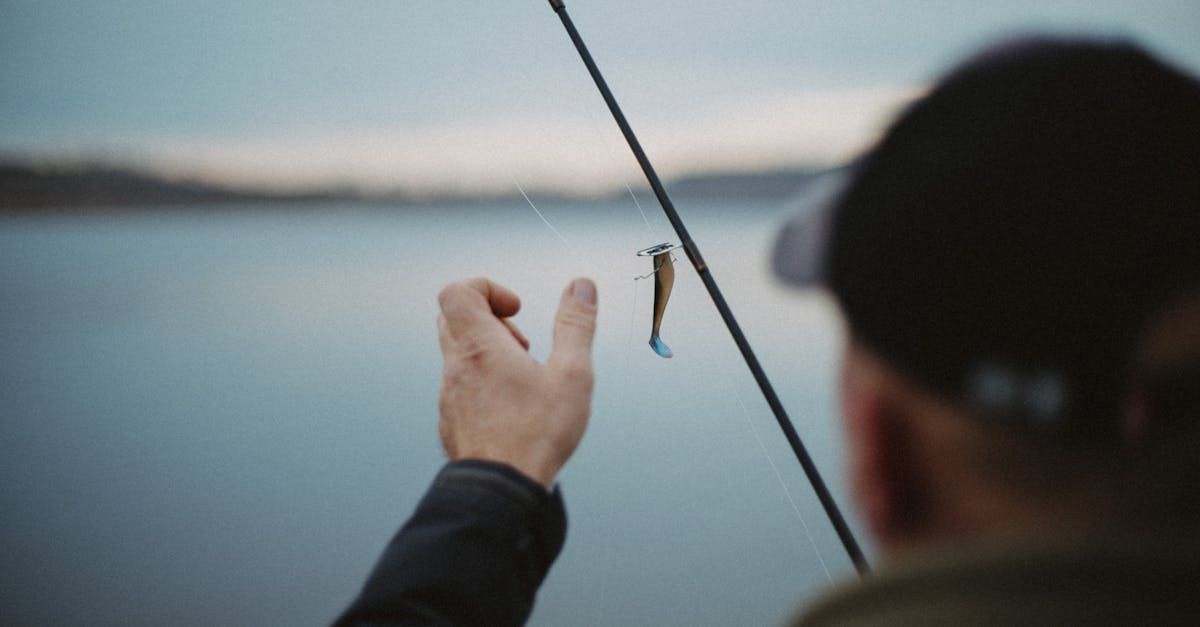 découvrez l'univers captivant de la pêche sportive, où passion et nature se rencontrent. que vous soyez débutant ou expert, rejoignez une communauté dédiée à l’aventure en plein air et aux techniques de pêche modernes.