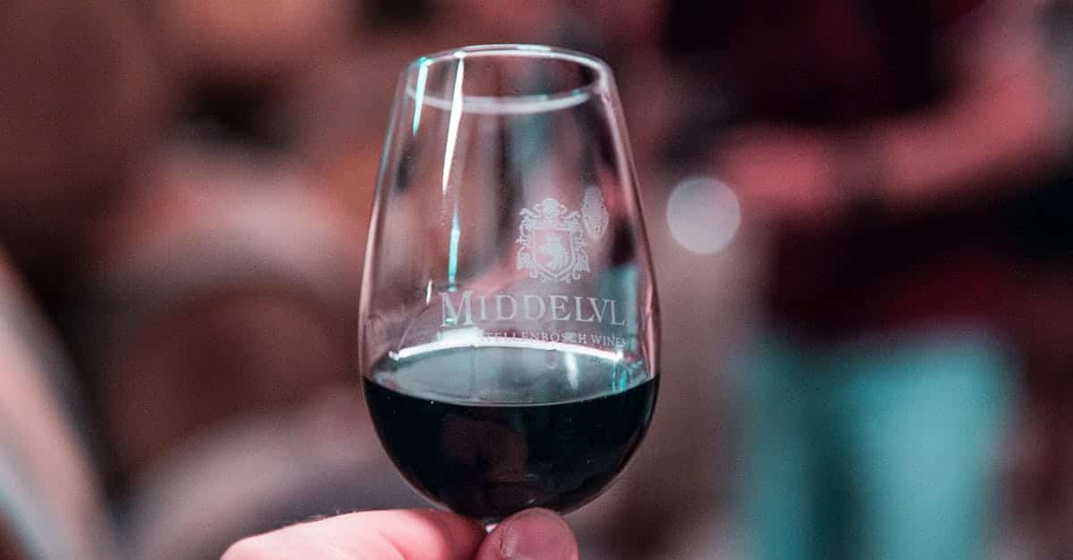 découvrez stellenbosch, une charmante ville sud-africaine réputée pour ses vignobles, son architecture coloniale et ses paysages pittoresques. profitez de dégustations de vin, de gastronomie locale et d'activités en plein air dans cette région viticole emblématique.