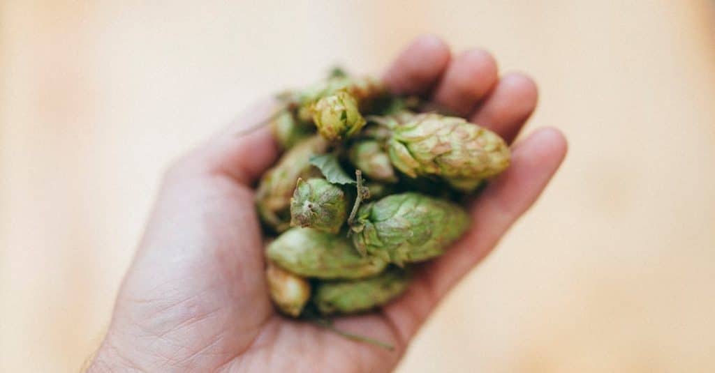 découvrez l'atmosphère conviviale des pubs traditionnels, où la chaleur de l'accueil rencontre l'authenticité des boissons et des plats locaux. plongez dans cette expérience culturelle unique, entre histoire et convivialité, pour savourer des moments inoubliables.