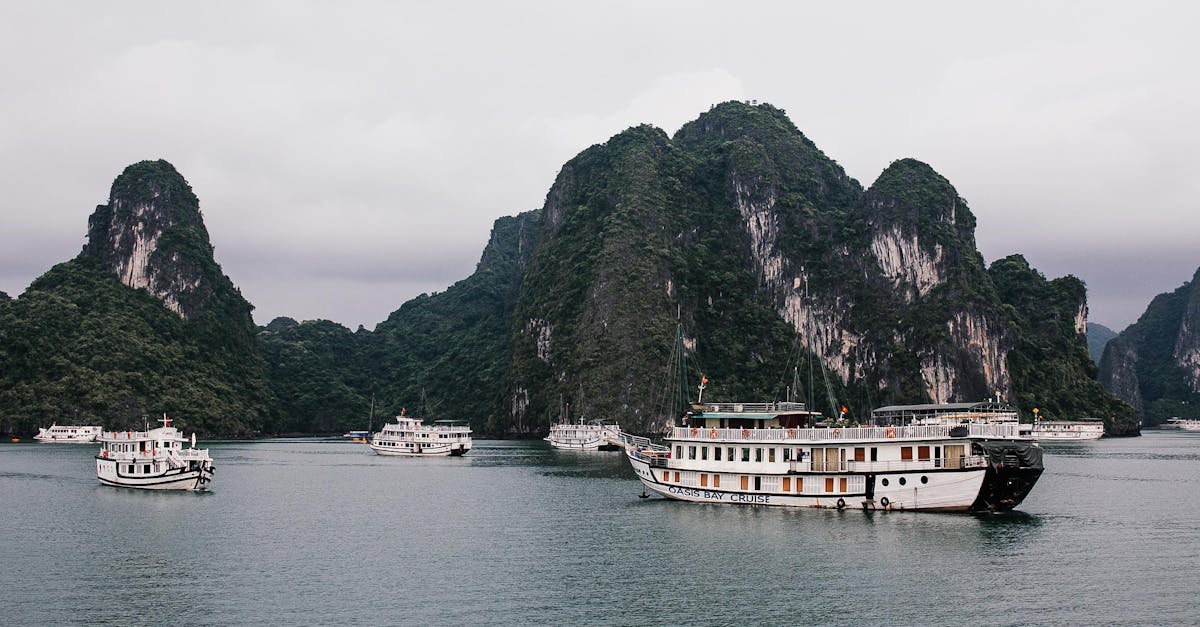 découvrez la richesse et la diversité des forêts tropicales, véritables trésors de la biodiversité. plongez dans un écosystème fascinant, regorgeant de plantes et d'animaux uniques, et apprenez l'importance de leur préservation pour l'équilibre de notre planète.