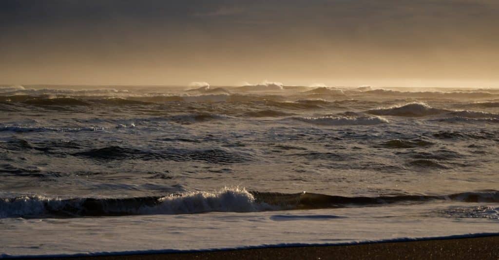 découvrez les plages volcaniques, des destinations uniques caractérisées par leurs sables noirs, leurs paysages époustouflants et leur atmosphère sauvage. parfaites pour les amateurs de nature et d'aventures, ces plages offrent des panoramas à couper le souffle et des expériences inoubliables au cœur de la puissance de la terre.