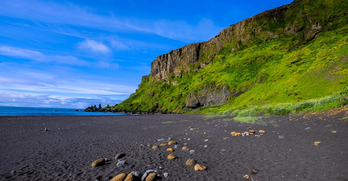 découvrez les plages volcaniques, ces joyaux naturels où le sable noir et les paysages spectaculaires se rencontrent. plongez dans un cadre unique, entre eaux cristallines et formations géologiques impressionnantes, et laissez-vous séduire par la beauté sauvage de ces littoraux.