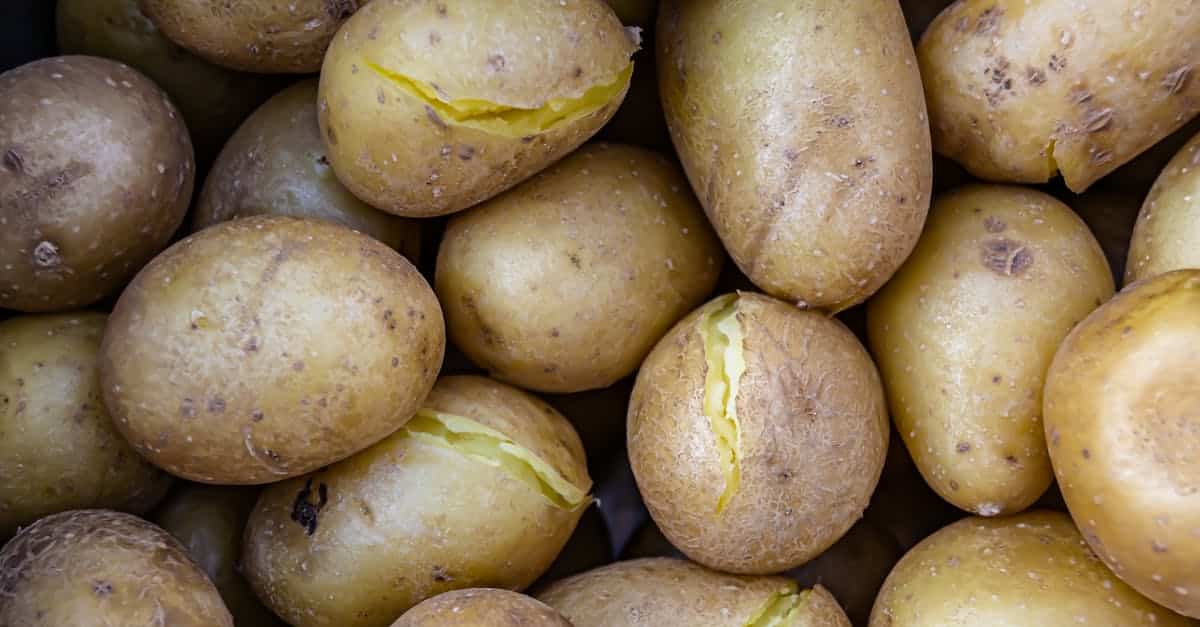 découvrez la cuisine créole, un mélange délicieux de saveurs exotiques et d'influences culturelles. savourez des plats traditionnels aux couleurs vibrantes et aux arômes envoûtants qui évoquent les îles des caraïbes. immergez-vous dans cette expérience culinaire unique qui ravira vos papilles.