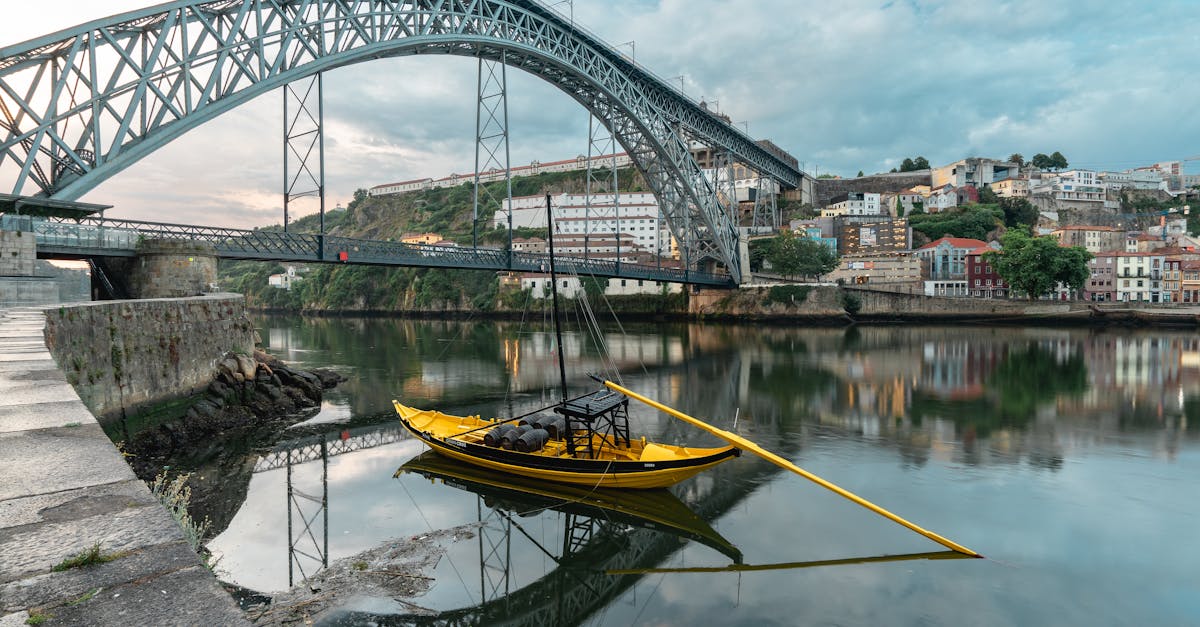 découvrez la vallée du douro, un trésor naturel du portugal célèbre pour ses paysages à couper le souffle, ses vignobles en terrasses et ses traditions viticoles séculaires. plongez dans l'histoire de la production de vin de porto et savourez des expériences uniques au cœur de cette région classée au patrimoine mondial de l'unesco.