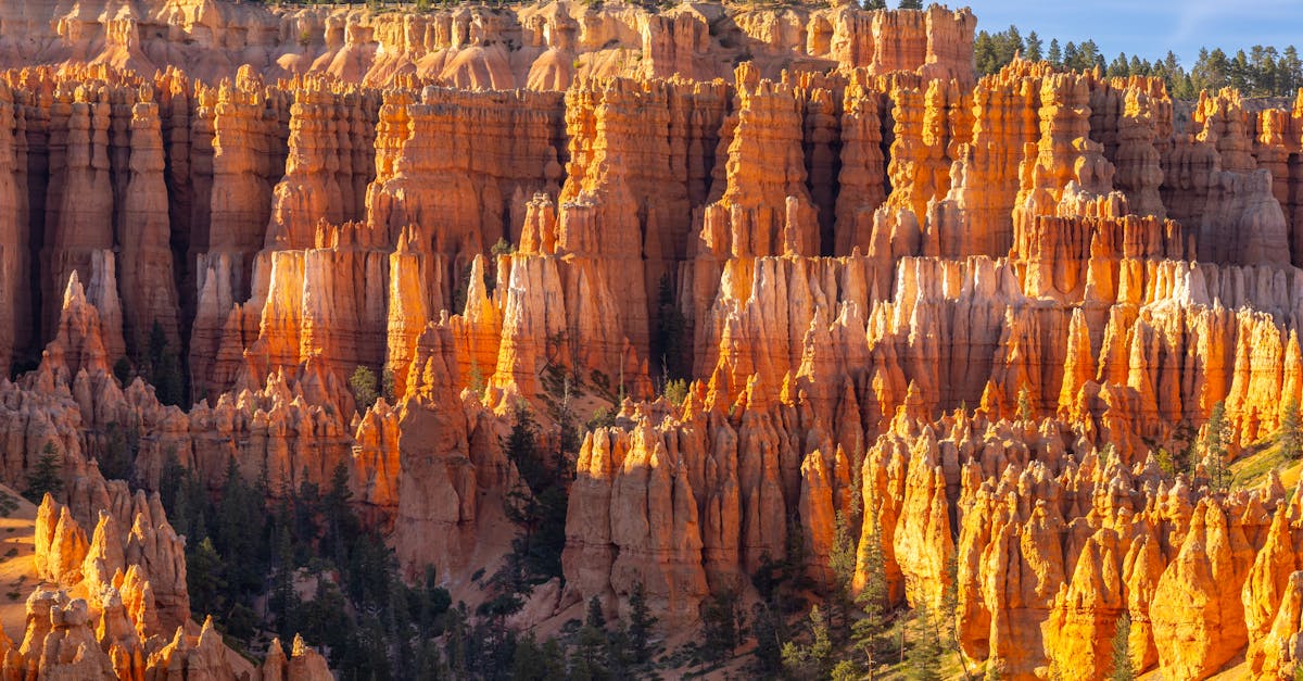 découvrez la beauté naturelle des parcs nationaux, des refuges précieux pour une faune et une flore diversifiées. explorez des paysages époustouflants, partez en randonnée, admirez les panoramas à couper le souffle et vivez des aventures en plein air inoubliables au cœur de la nature préservée.