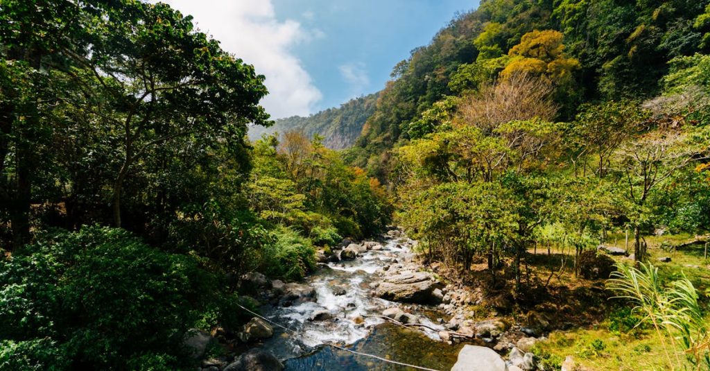 découvrez le panama, un pays aux paysages époustouflants, riche en culture et en histoire. explorez le canal légendaire, ses plages de rêve et sa biodiversité unique. parfait pour les aventuriers et les passionnés de nature. planifiez votre voyage au cœur de l'amérique centrale !