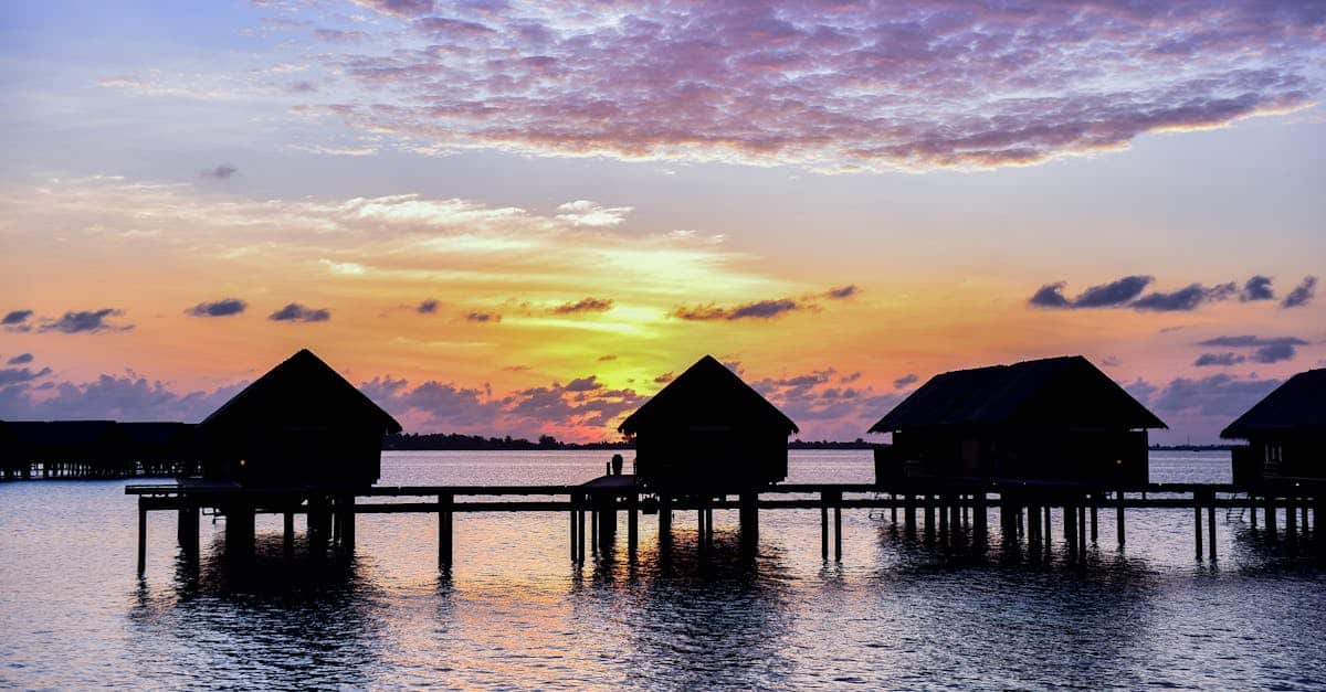 découvrez des villas pittoresques, où le charme d'architectures uniques rencontre des paysages enchanteurs. parfaites pour des vacances inoubliables ou une escapade relaxante, ces propriétés vous promettent un séjour de rêve au cœur de la nature.