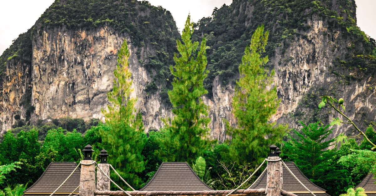 découvrez des villas pittoresques alliant charme et sérénité. parfaites pour des escapades inoubliables, ces habitations offrent un cadre idyllique, mêlant nature, esthétique et confort.