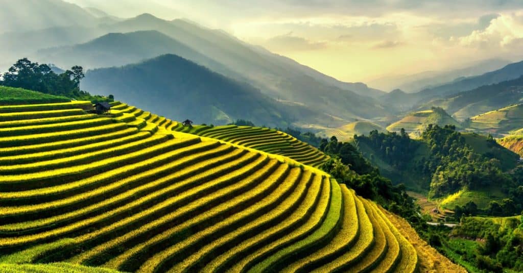 découvrez les rizières en terrasses, une merveille de l'agriculture et du paysage. admirez des panoramas époustouflants et plongez dans la culture locale des régions où la culture du riz façonne les traditions.