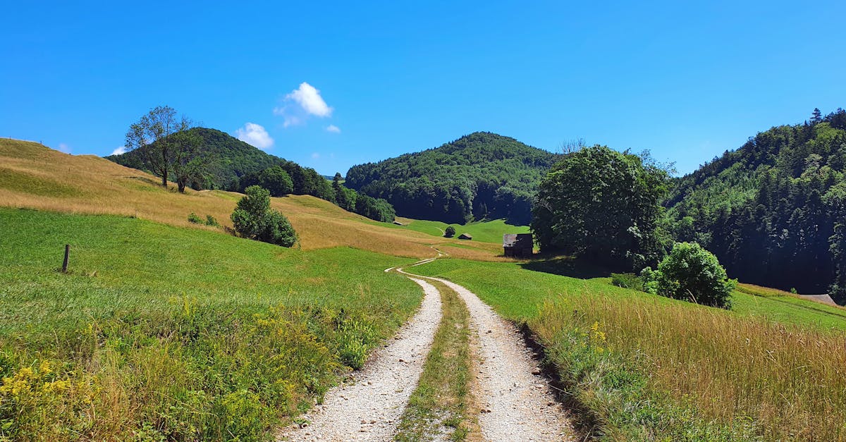 découvrez les plus belles routes panoramiques qui vous offrent des paysages à couper le souffle. embarquez pour un voyage inoubliable à travers des paysages variés, des montagnes majestueuses aux côtes ensoleillées, et laissez-vous séduire par la beauté de la nature.