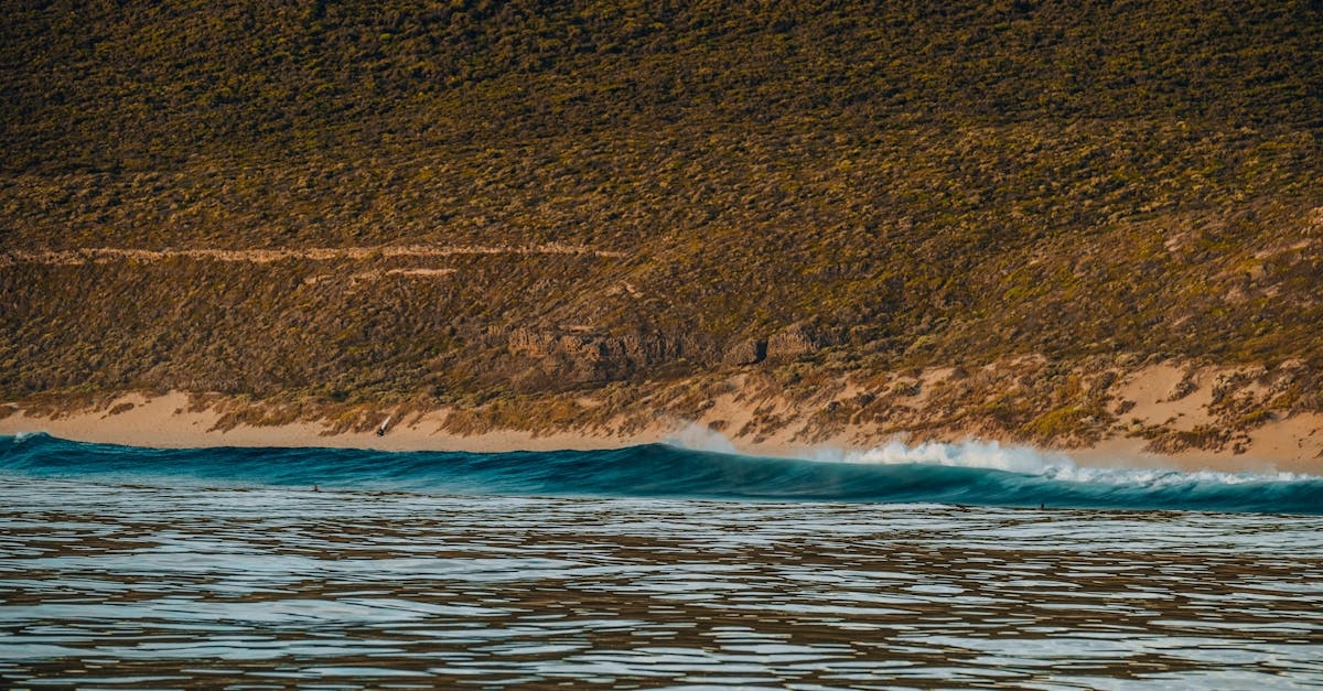découvrez des plages secrètes où la tranquillité règne en maître. évadez-vous vers des endroits cachés, loin de la foule, et profitez de paysages marins époustouflants dans un cadre idyllique. parfait pour les amoureux de la nature et ceux en quête de sérénité.