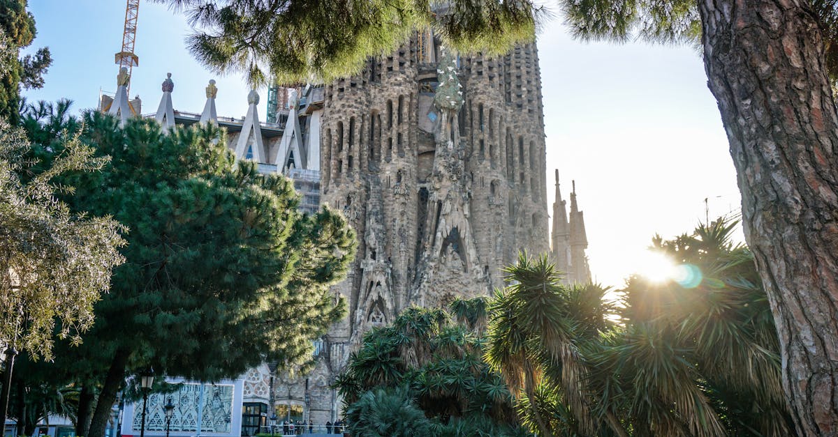 découvrez barcelone, une ville vibrante au cœur de l'espagne, célèbre pour son architecture unique, ses plages idylliques et sa riche culture. explorez les œuvres de gaudí, dégustez des tapas savoureuses et plongez dans l'ambiance envoûtante de la capitale catalane.