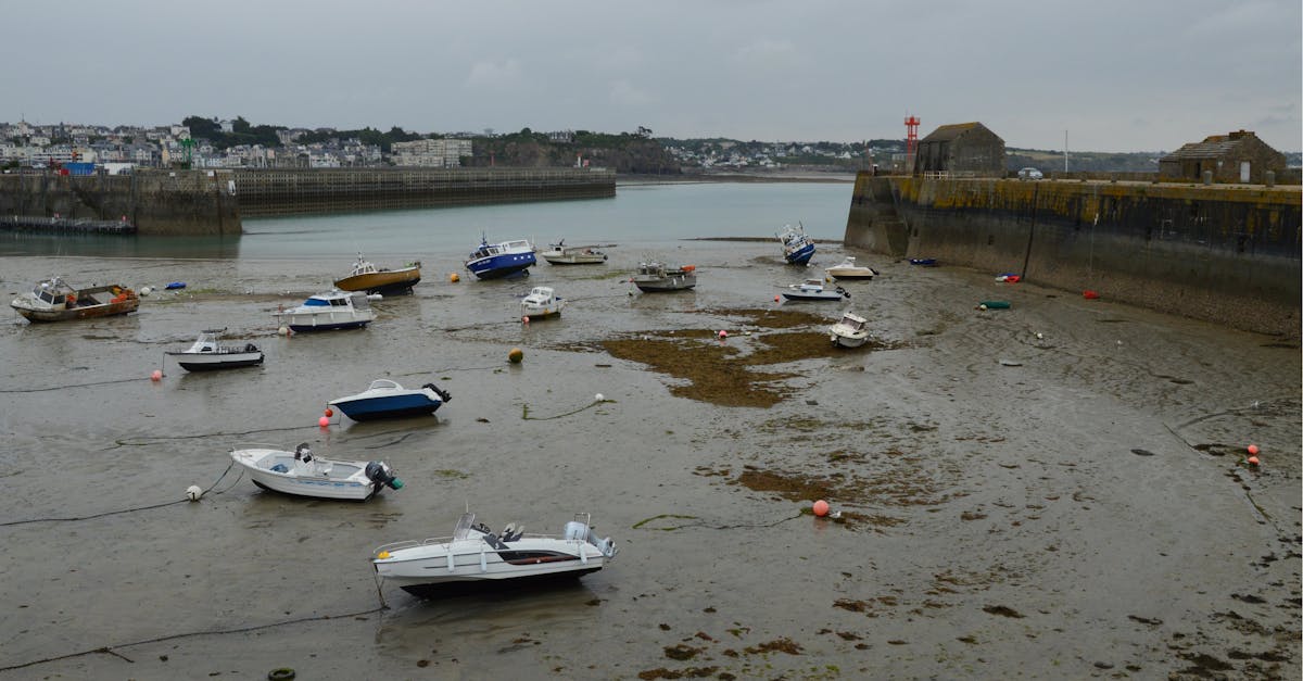 découvrez la bretagne, une région riche en paysages époustouflants, culture vibrante et délicieuses spécialités culinaires. plongez dans l'histoire maritime, explorez ses côtes sauvages et profitez des fêtes traditionnelles qui font le charme de cette région unique de france.