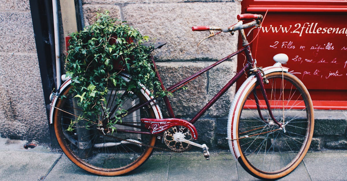découvrez brittany, une région enchanteresse de france, riche en paysages côtiers, en culture bretonne et en délicieuses spécialités culinaires. explorez ses villes pittoresques, ses magnifiques plages, et plongez dans l'histoire fascinante de cette terre de légendes.