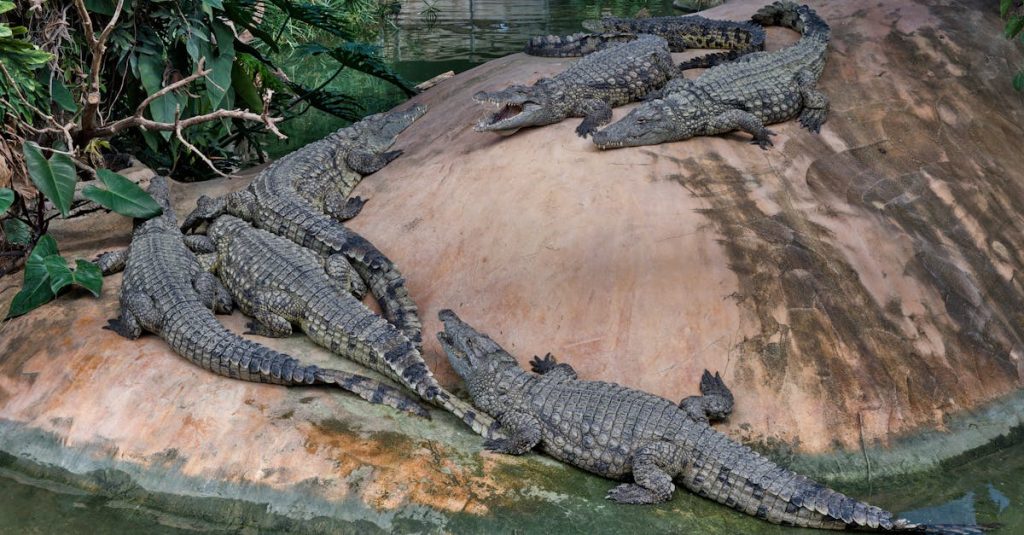 découvrez la beauté sauvage de la camargue, une région unique en france où les paysages côtiers, les chevaux blancs et les flamants roses se rencontrent. explorez la richesse de sa biodiversité et ses traditions culturelles lors de votre prochain voyage.