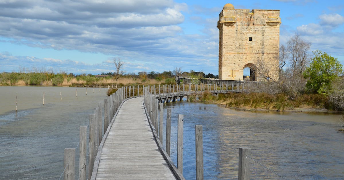découvrez la camargue, une région sauvage et préservée du sud de la france, célèbre pour ses paysages époustouflants, sa faune unique, ses plages de sable fin et sa culture riche, entre traditions équestres et fêtes de la musique. explorez les marais salants, rencontrez les célèbres chevaux blancs et savourez la délicieuse cuisine locale.