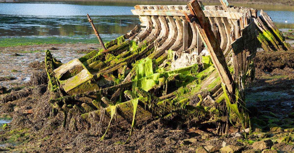 découvrez douarnenez, une charmante ville bretonne connue pour ses magnifiques plages, son port authentique et son riche patrimoine maritime. explorez ses paysages pittoresques, ses traditions culturelles et profitez d'une expérience unique en bord de mer.