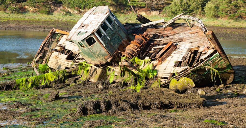 découvrez douarnenez, charmante ville bretonne au cœur d'un port pittoresque, célèbre pour ses plages, son riche patrimoine maritime et ses festivals colorés. explorez ses paysages côtiers, savourez les délices locaux et laissez-vous envoûter par l'authenticité de cette destination unique.