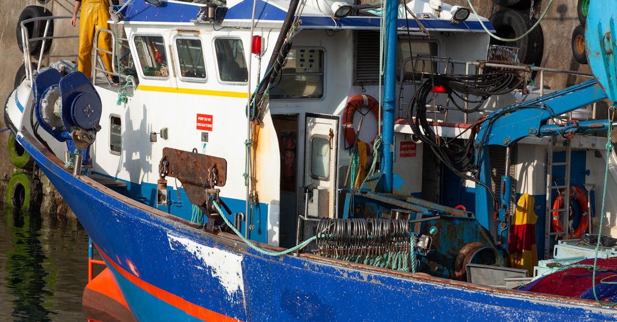 découvrez douarnenez, charmante ville portuaire de bretagne, réputée pour ses paysages marins à couper le souffle, son riche patrimoine culturel et ses traditions maritimes. venez explorer ses plages, son vieux port et savourer la gastronomie locale.