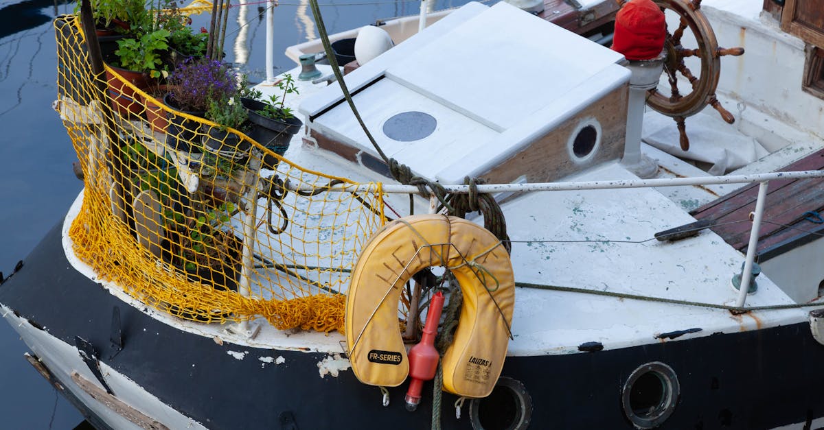 découvrez douarnenez, une charmante ville bretonne au bord de la mer, réputée pour son port pittoresque, ses plages magnifiques et son riche patrimoine maritime. explorez ses ruelles pleines de caractère, savourez des spécialités locales et plongez dans l'histoire de la pêche. une destination idéale pour les amoureux de la nature et de la culture !