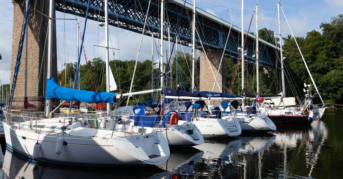 découvrez douarnenez, une charmante ville portuaire bretonne qui vous séduira par ses paysages marins, son riche patrimoine culturel et ses activités nautiques. explorez ses plages, ses ruelles pittoresques et savourez la gastronomie locale dans cette destination idéale pour vos prochaines vacances.