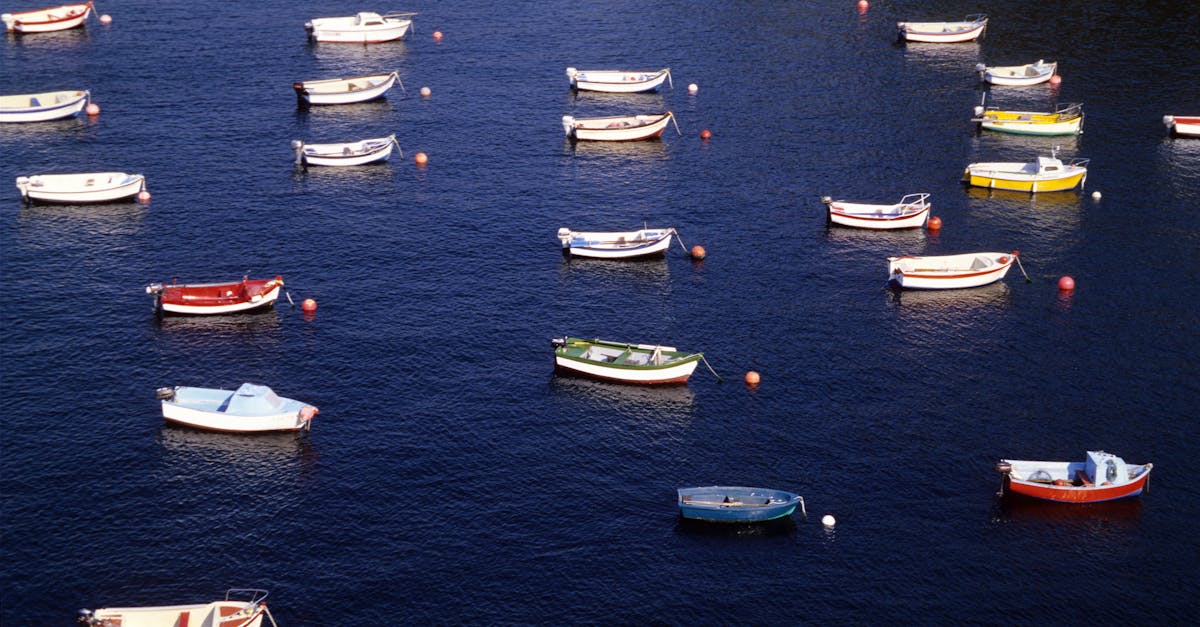 découvrez douarnenez, une charmante ville portuaire en bretagne célèbre pour ses plages, son riche patrimoine maritime et ses paysages époustouflants. explorez les traditions locales, les activités nautiques et savourez la gastronomie bretonne dans un cadre idyllique.